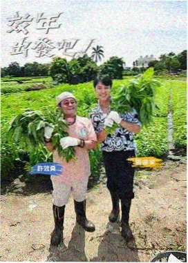 幼儿园母亲节节目单编排笔记